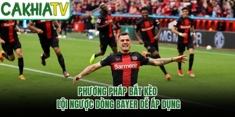Phương Pháp Bắt Kèo Lội Ngược Dòng Bayer Dễ Áp Dụng